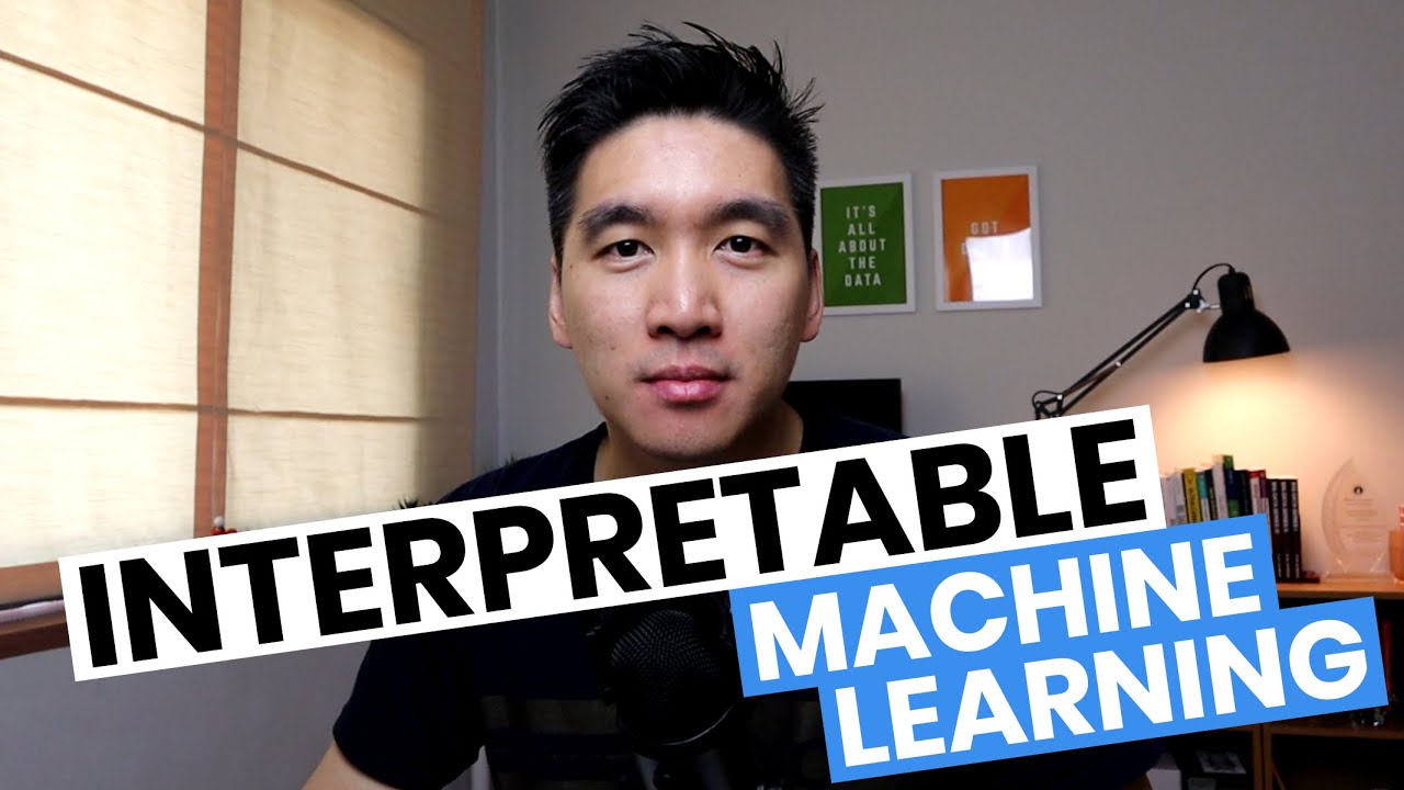 Interpretable Machine Learning Models