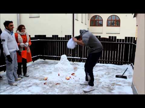 The Human Cake Project