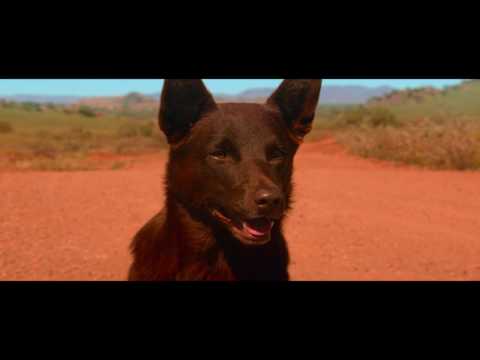 Red Dog: True Blue - Official Main Trailer