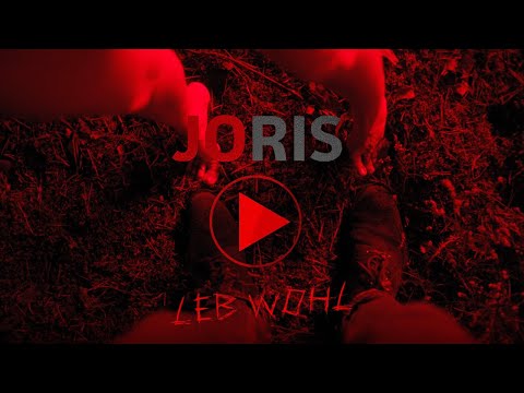 JORIS & Sebastian Fitzek -  Leb Wohl (Official Lyric Video)