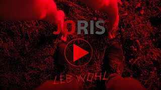 JORIS &amp; Sebastian Fitzek -  Leb Wohl (Official Lyric Video)