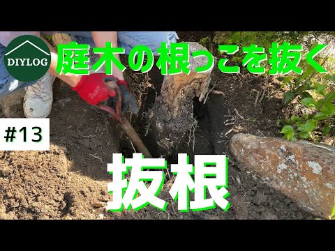 庭を彩る枯れ木、流木、切り株  庭園