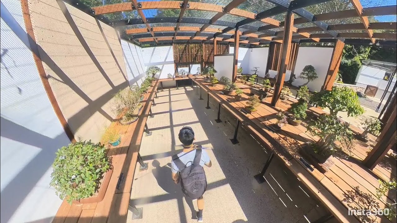 Embark on a virtual tour of Bonsai House.