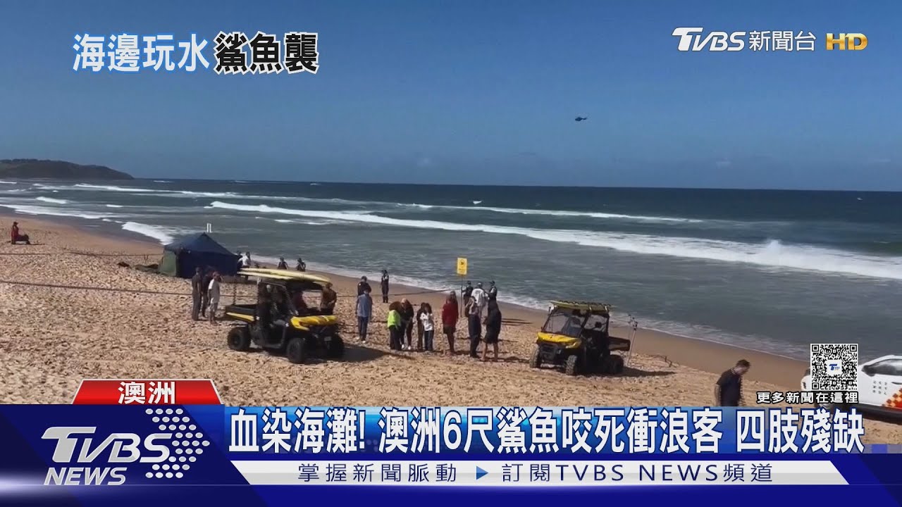 血染海灘！　澳洲6公尺鯊魚咬死衝浪客　四肢殘缺