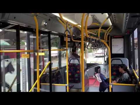 Transperth TP2621 - Volvo B8RLE (ZF Ecolife)