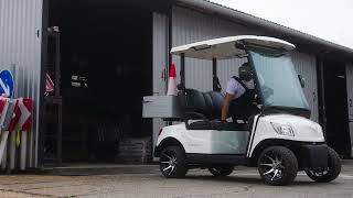 Voiturette de golf BirdieCar Cargo neuve | Image 4 - Autoline