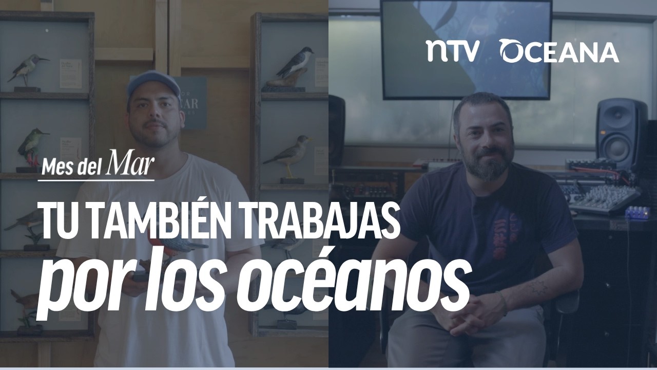 Tu también trabajas por los océanos | Episodio 2
