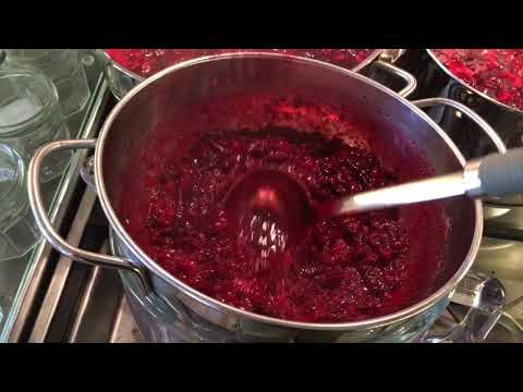 download lagu mp3 mp4 Damson Jam Recipe, download lagu Damson Jam Recipe gratis, unduh video klip Damson Jam Recipe
