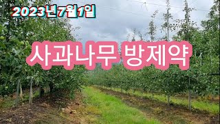 2023년7월1일 사과나무 방제약