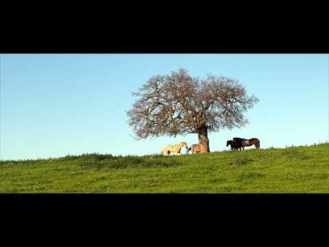 Sand Hill Road - iPhone 13 Pro Max - Pro RES (4K)