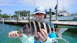 Sheepshead Challenge (Saltwater Fishing Florida Sheephead)