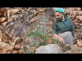 Arif Chatkhara House Pakistani Street Food Lahore Lahori Chicken Tawa Piece Tawa Chicken Skillet