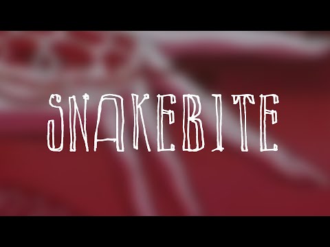 snakebite [prod. useless] | weepings