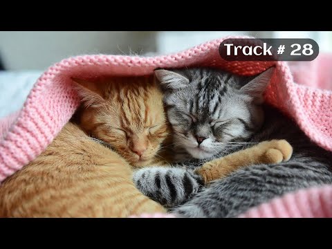 [Sleepy Cats Piano #28] Peaceful Piano While Cats Dream