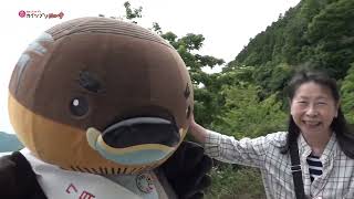 2026/8/31放送・知ったかぶりカイツブリにゅーす