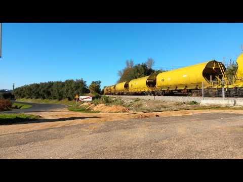 CP 1962 | 50366 | Bombarral