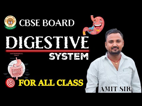 Ashoka Classes video thumbnail