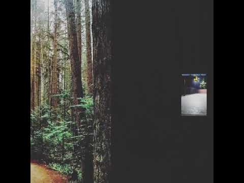 Kina chir (i tried to sing a song first time with music) #prophecproduction