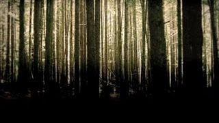 Caramel-The Runaway State (Covered By: Kayla Nelson)