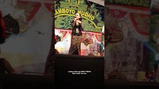 Download lagu Cuplikan lagu DEWO TRESNO Mbah Tambir feat Aya #shorts #Campursari #Jaranansamboyomudho mp3