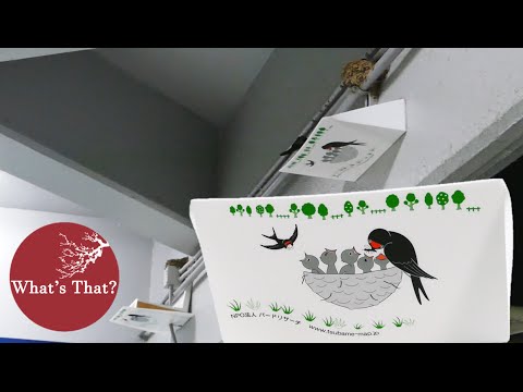 What's That? ★ Bird Defense 日本のナニコレ2 （日本語字幕は設定から）