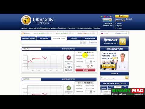 Урок 4 торговая платформа DragonOptions