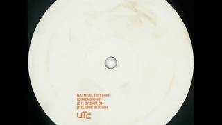 Natural Rhythm  -  Dream On