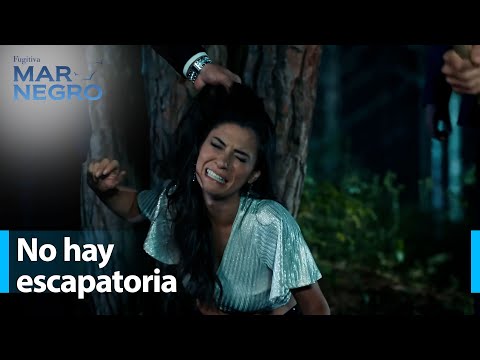 Tenemos un secreto contigo que nadie sabe - Mar Negro Capítulo 176 | Fugitiva
