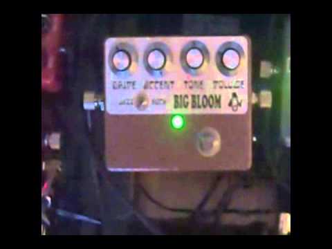 Amplified Nation Big Bloom Overdrive | Effects Database