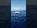 Veleiro francês sem tripulação é encontrado na costa do RN3
