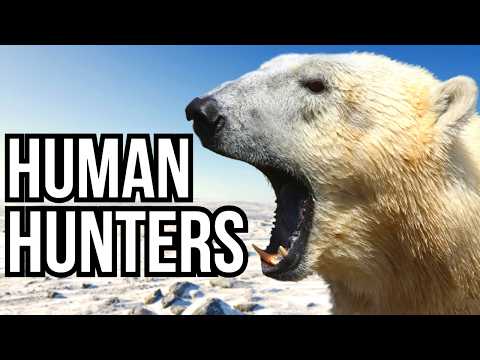 3 Apex Predators That See Humans As Prey