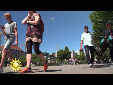 Sommarens hetaste shorts - för killar - Nyhetsmorgon (TV4)