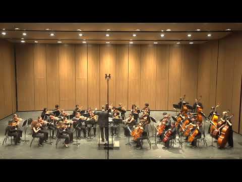 2025.02.18: CHS chamber orchestra - Subterranean Dialogues
