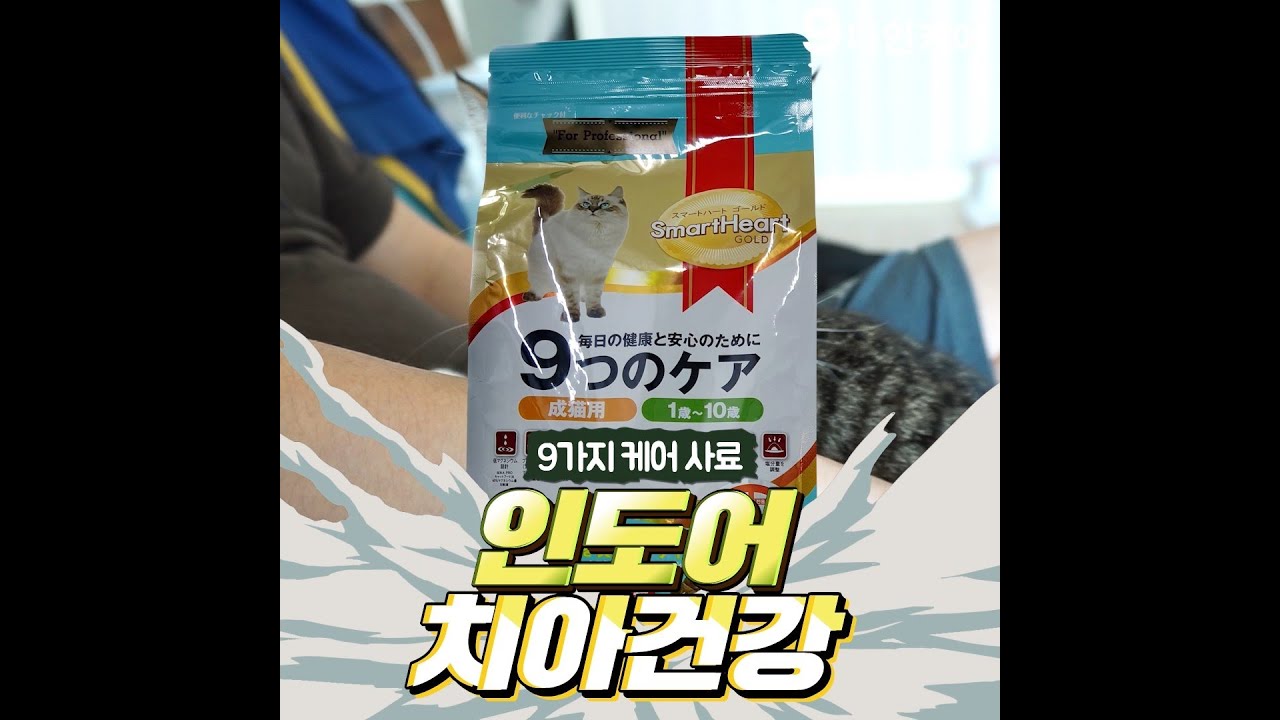 [제품 영상]