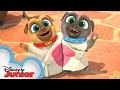 Bob And Ana S Wedding Compilation Puppy Dog Pals Disneyjr