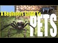 How To Raise Pets A Beginners Guide Tutorial Conan Exiles