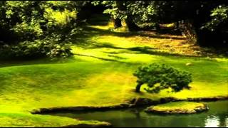 Agnetha Faltskog - What Now My Love - Created By Wilfried Braem