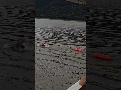 Los Guardianes de la bahía en el Cadillal garantizan seguridad #2026 #elcadillal #tucumán