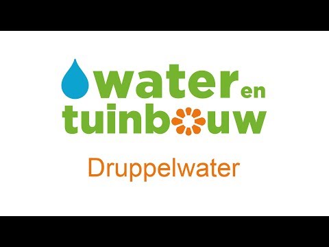 , title : 'Druppelwater - Tomatenkwekerij Groenewegen - Van Iperen'