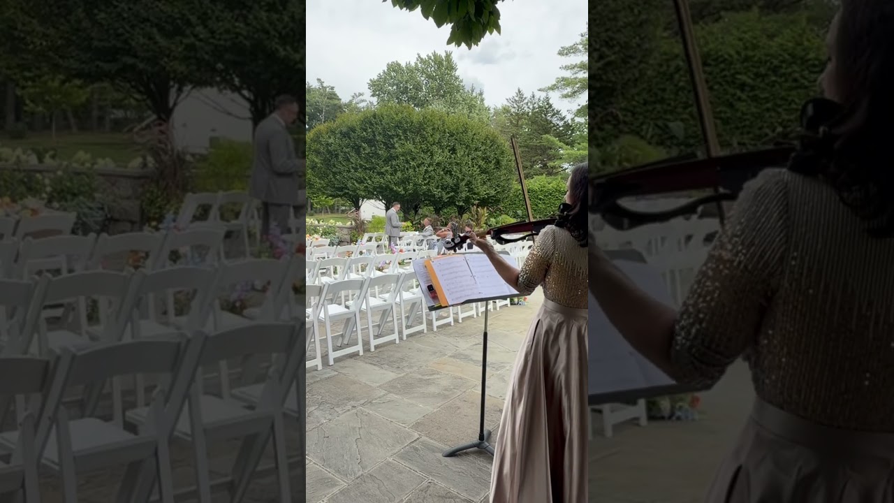 Promotional video thumbnail 4 for Viva La Vida String Quartet LLC