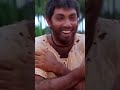 Amaithipadai Sathyaraj Manivannan