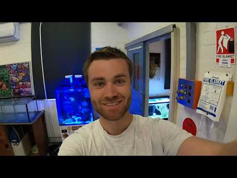 Lizard Island Coral Reef Study Tour (LICRST) 2022 - FINAL VLOG 4