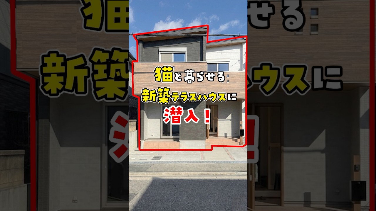【隣人も猫飼い確定】猫好きしか住めない新築テラスハウスに潜入調査 #ねこ #ルームツアー #ねこ物件