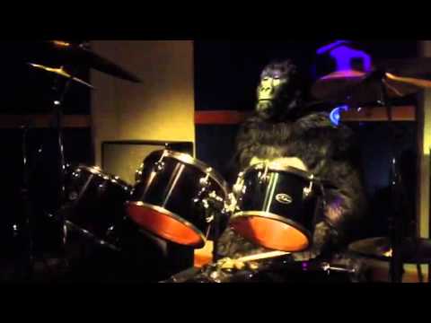 Cabury Gorilla @ Cadbury World