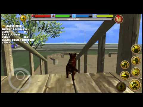 Stray Cat Simulator By Gluten Free Games - Android & iOS - Gameplay - YouTube