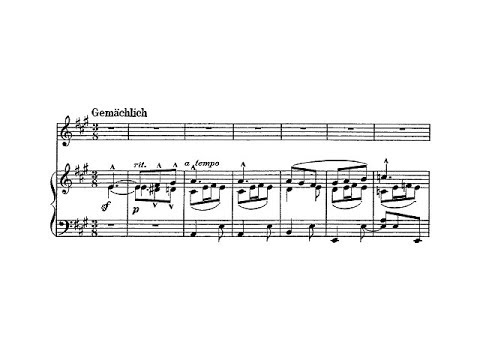 Mahler: Des Knaben Wunderhorn: 7. Rheinlegendchen - Goerne (Honeck, live)