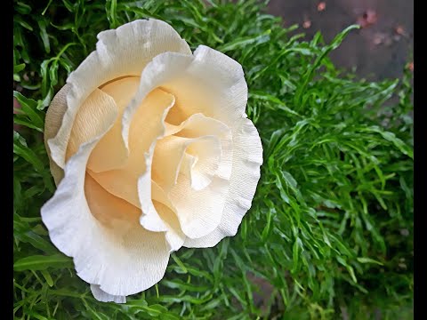 How To Make Crepe Paper Rose || DIY || Easy Crepe Paper Flower|| NA Creations