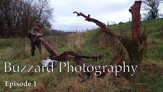 Guide to Using A Hide for Bird Photography (Full Buzzard Photography Session)
