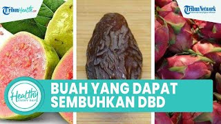 Inilah Makanan yang Dapat Menyembuhkan Penderita Demam Berdarah 'Kurma hingga Jambu Biji'
