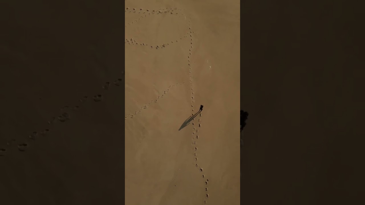 LETS FIND THE NEXT WAVE